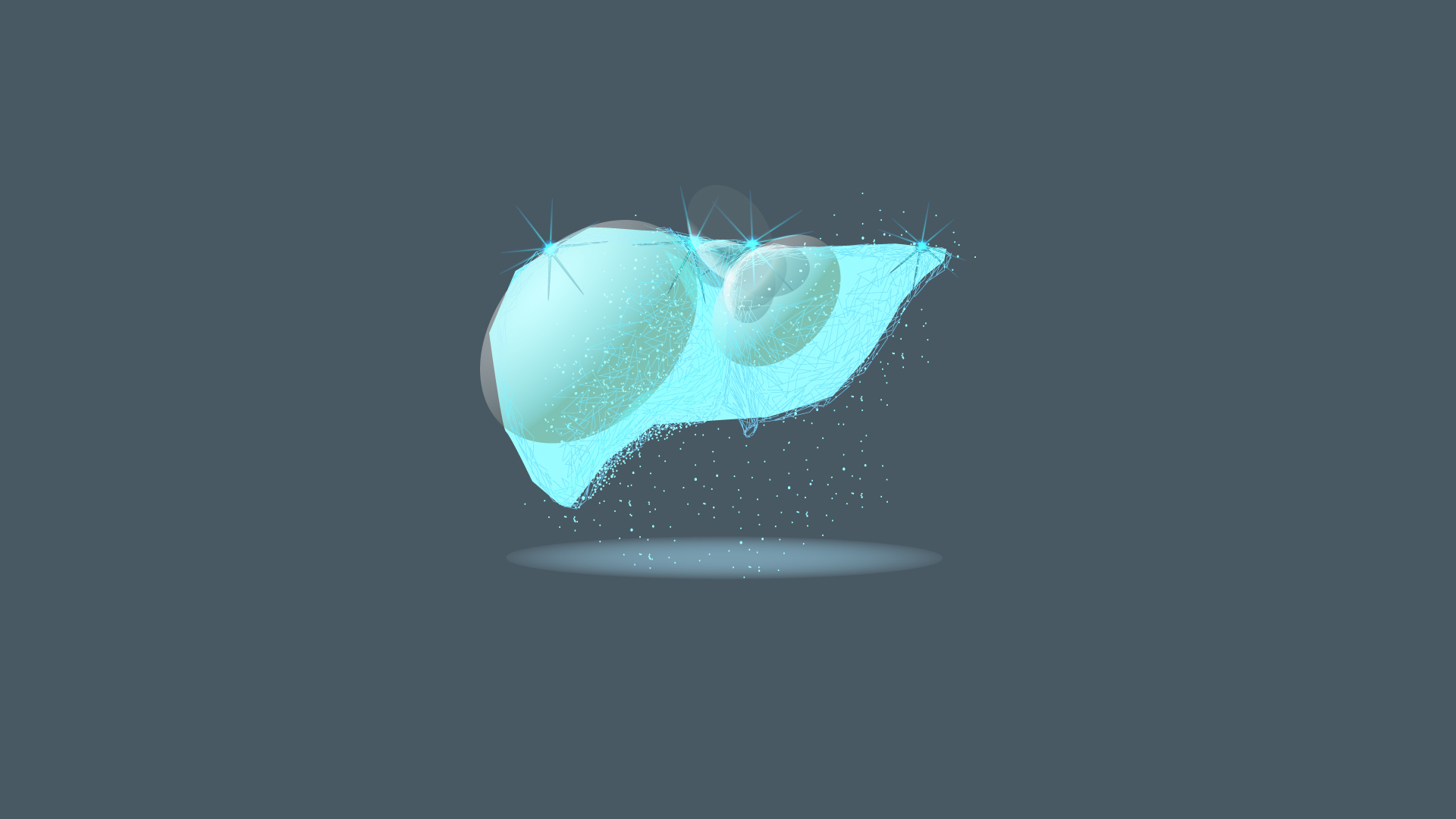 Image shows a floating stylized liver